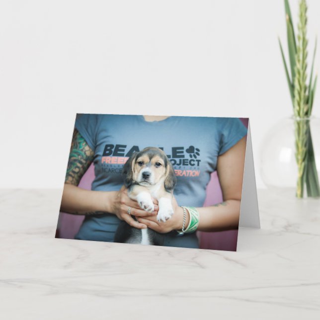 Tarjeta Un grupo de Beagle Freedom en una camiseta (Anverso)