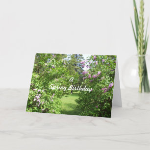 Tarjeta Un matorral de natalidad de primavera