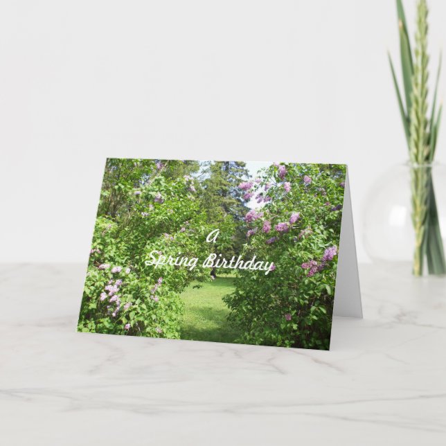 Tarjeta Un matorral de natalidad de primavera (Anverso)