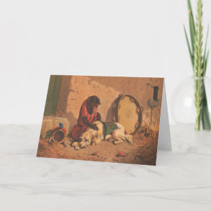 Tarjeta Un Mono Y Un Perro Con Un Gran Panorama