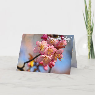 Tarjeta Un Montón De Dulces Flores De Cerezo Sakura En Pri