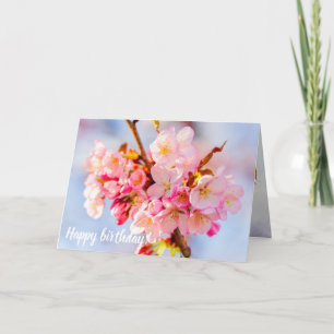 Tarjeta Un Montón De Flores De Sakura Adorables Y Dulces