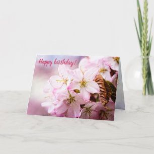 Tarjeta Un Montón De Sakura Rosa Sobre El Fondo Rosa