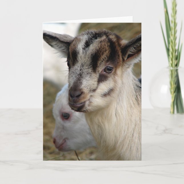 Tarjeta Un niño pequeño y curado (Anverso)