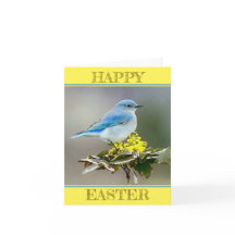 Un pájaro azul en primavera