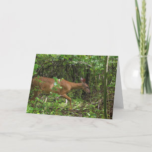 Tarjeta Un paseo por el bosque