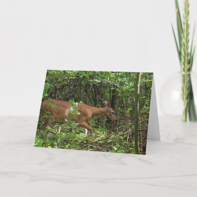 Tarjeta Un paseo por el bosque (Anverso)