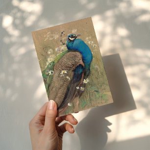 Tarjeta Un pavo real y margueritas   Edwin John Alexander