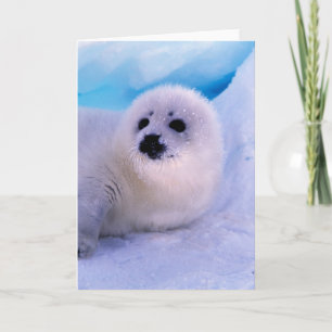 Tarjeta Un pequeño arpa cubierto de copos de nieve