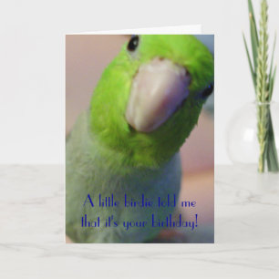 Tarjeta Un pequeño chirrido me dijo…