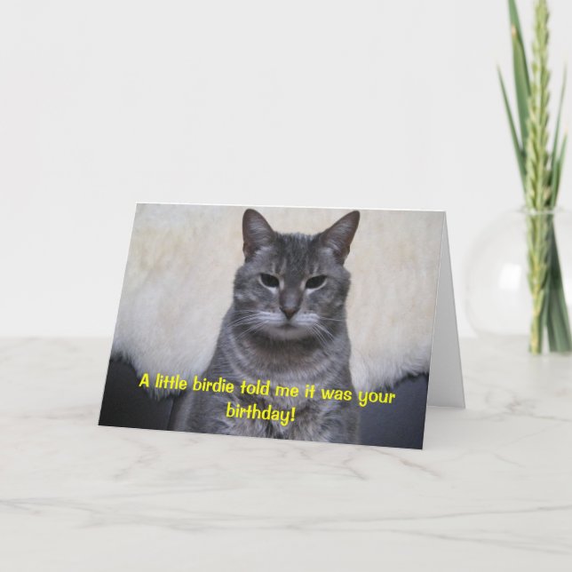 Tarjeta Un pequeño chirrido me dijo que era su cumpleaños… (Anverso)