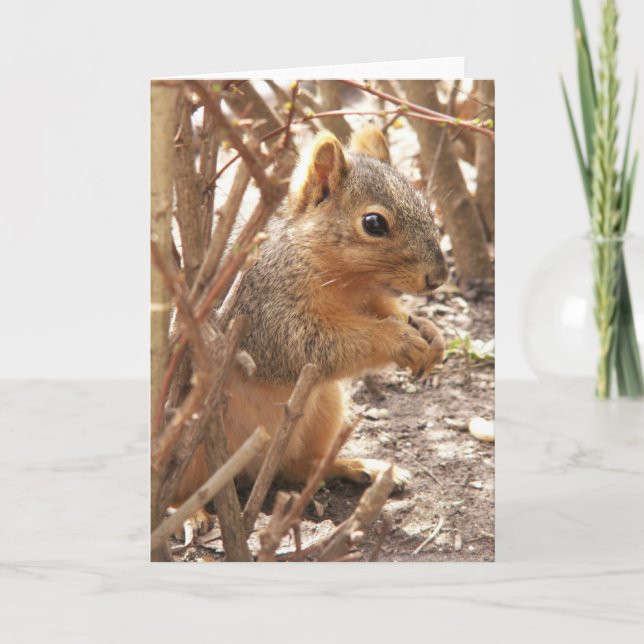 Tarjeta Un pequeño saludo (Anverso)