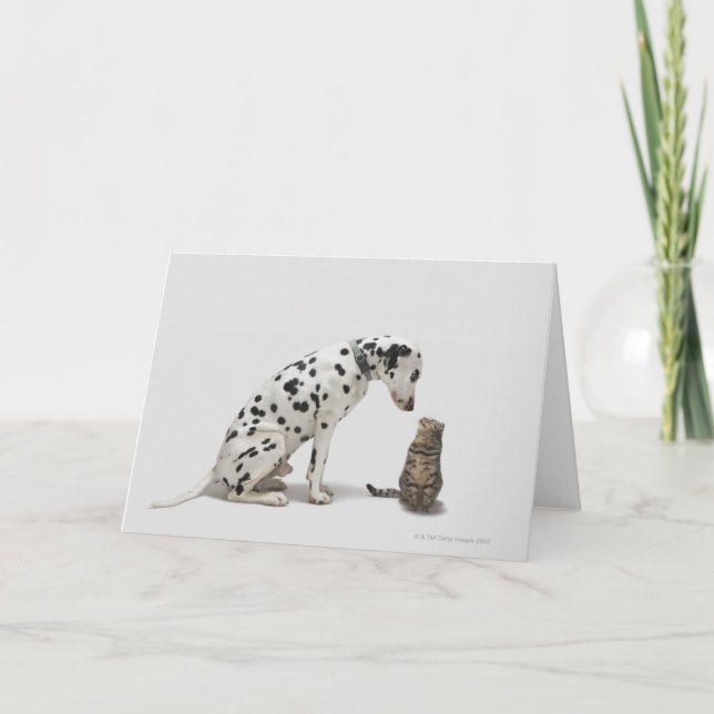 Tarjeta Un perro mirando a un gato (Anverso)