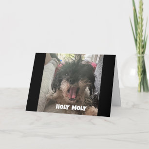 TARJETA UN PERRO SERIO DICE "FELIZ CUARENTA"