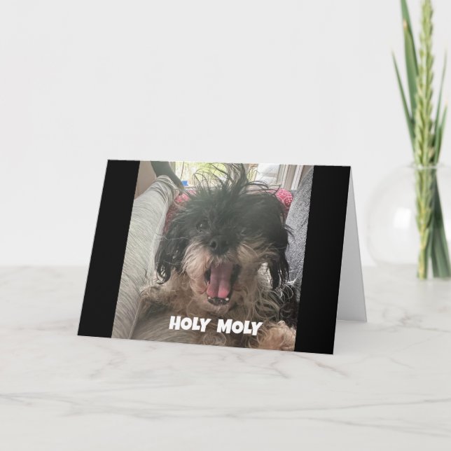 TARJETA UN PERRO SERIO DICE "FELIZ CUARENTA" (Anverso)