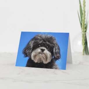 Tarjeta Un poco amor