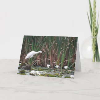 Tarjeta Un poco de pesca de garza azul