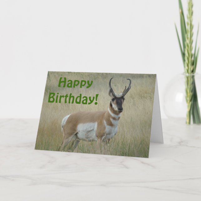 Tarjeta Un pronorte Antelope grande (Anverso)