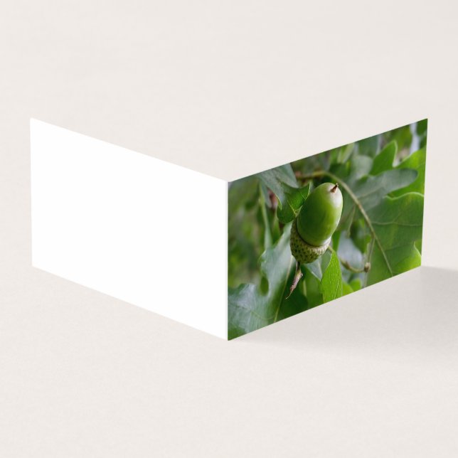 Tarjeta un roble (Exterior)