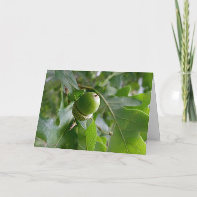 Tarjeta un roble (Anverso)