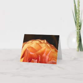 Tarjeta Un Rosa