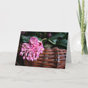 Tarjeta Un solo florecimiento