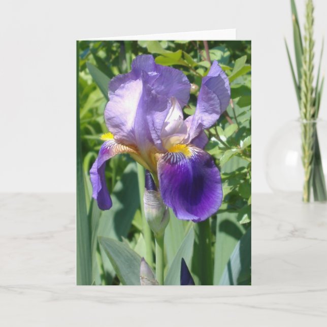 Tarjeta un solo iris perfecto (Anverso)