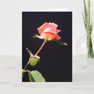 Tarjeta Un solo rosa