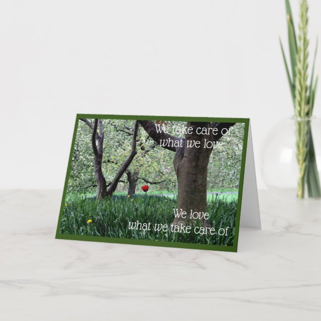 Tarjeta Un tulipán rojo para el amor y el cuidado (Anverso)