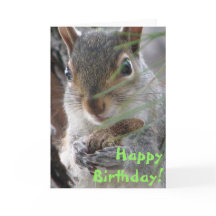 Una Ardilla Cuta Cavó Un Cumpleaños Feliz