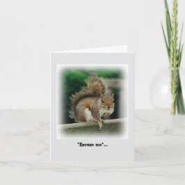 Tarjeta Una ardilla hambrienta buscando una limosna gratis