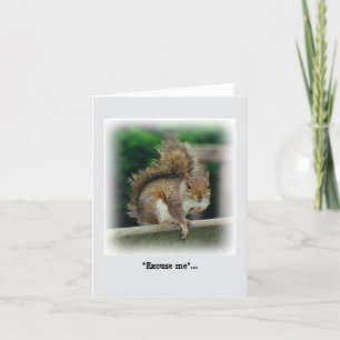 Tarjeta Una ardilla hambrienta buscando una limosna gratis