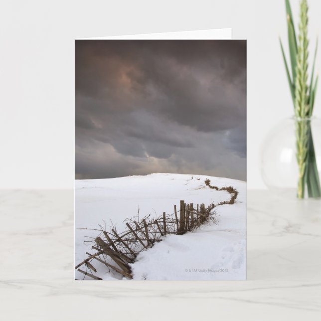 Tarjeta Una cerca quebrada (Anverso)