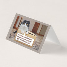 Una dimensión alternativa