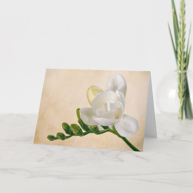 Tarjeta Una flor de Freesia (Anverso)