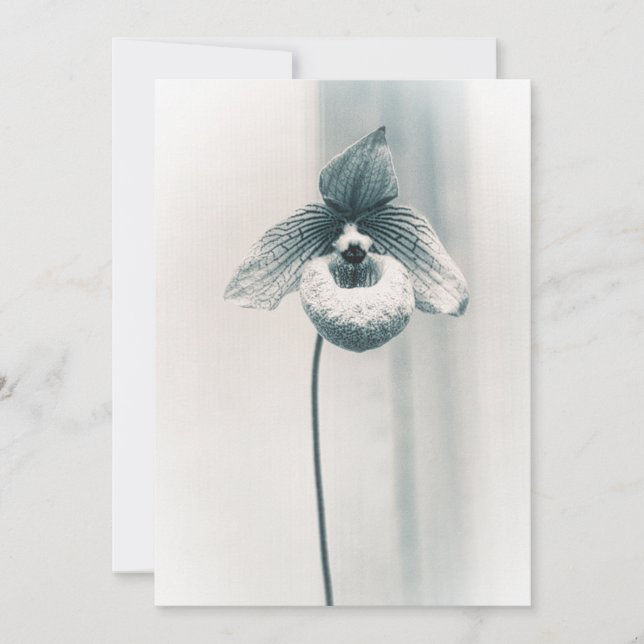 Tarjeta Una flor de orquídea (Anverso)