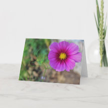 Una galaxia dentro de una flor