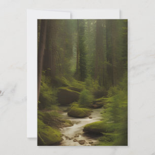 Tarjeta Una hermosa corriente forestal