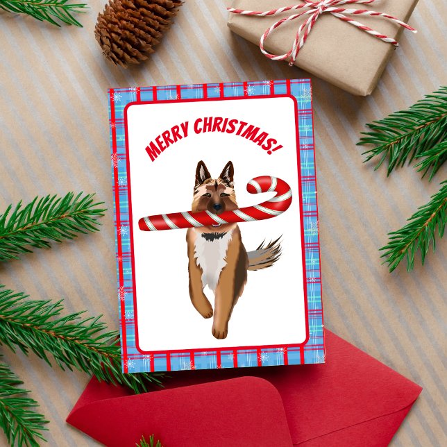 Tarjeta Una Navidad muy pastor alemán de caramelo (Great for the German Shepherd fan! )