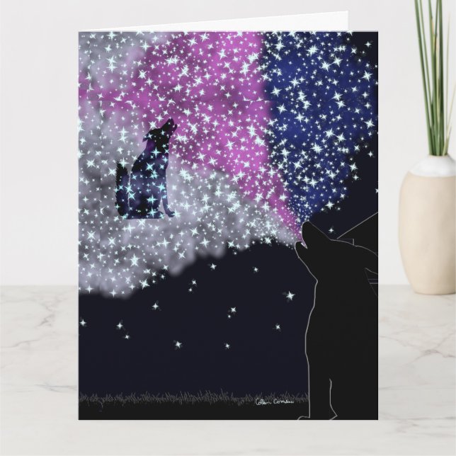 Tarjeta Una noche de verano con Sirius (Anverso)