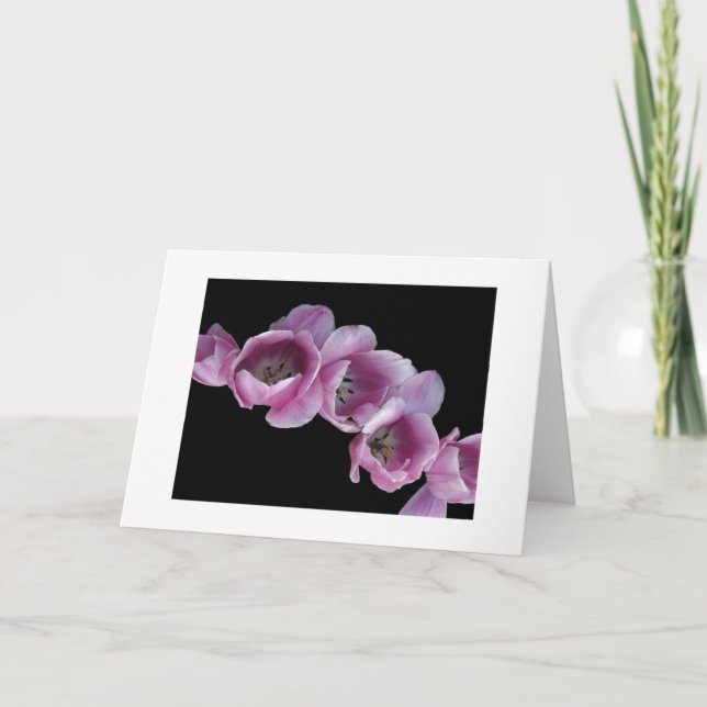 Tarjeta "Una onda de tulipanes púrpuras " (Anverso)