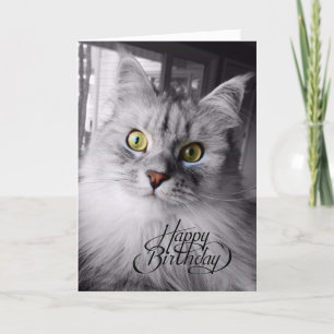 Tarjeta Una pequeña carta de cumpleaños mágico