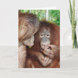 Tarjeta Una princesa recibe todos los tratamientos