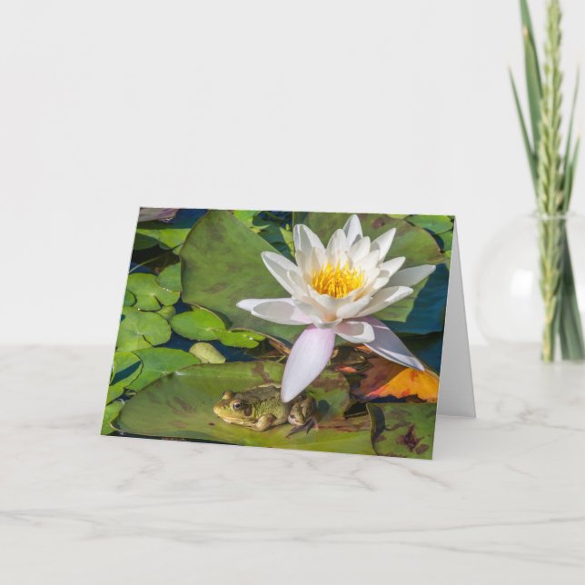 Tarjeta Una rana bajo una flor de nenúfar (Anverso)