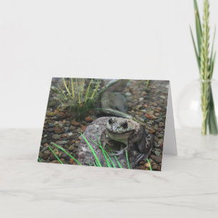 Tarjeta Una rana feliz