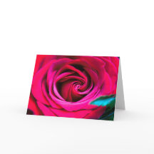 Una rosa es solo una rosa