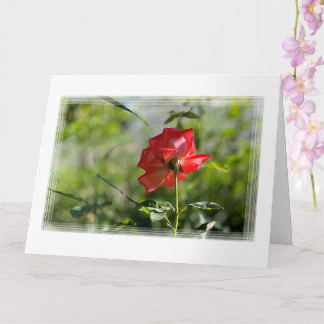 Tarjeta Una rosa roja (Orquídea)
