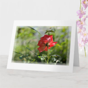 Tarjeta Una rosa roja