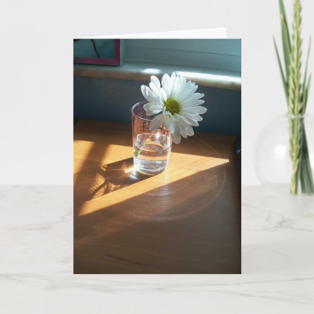 Tarjeta Una única margarita blanca en un lugar soleado con (Anverso)