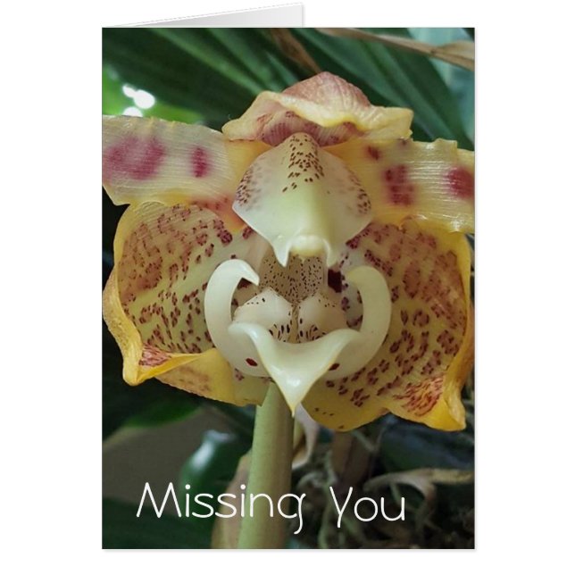 Tarjeta Única de Flor Amarilla para Extrañarte (Frente)